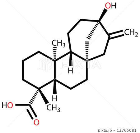 Steviol structural formula. The constituent of sweet stevia plan 12765081