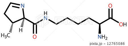 Amino acid pyrrolysine structural formula 12765086