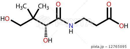 Pantothenic acid (vitamin B5) structural formula 12765095