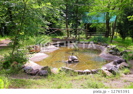 Artificial pond in the village park Artificial pond in the village park 12765391