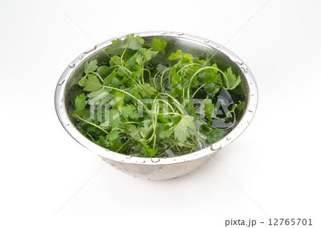 姫みつば 12765701