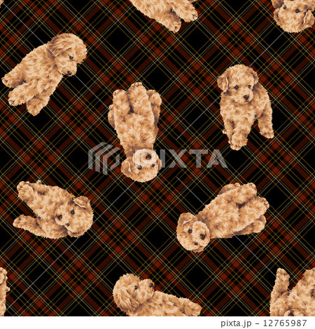 可愛い犬の柄 12765987