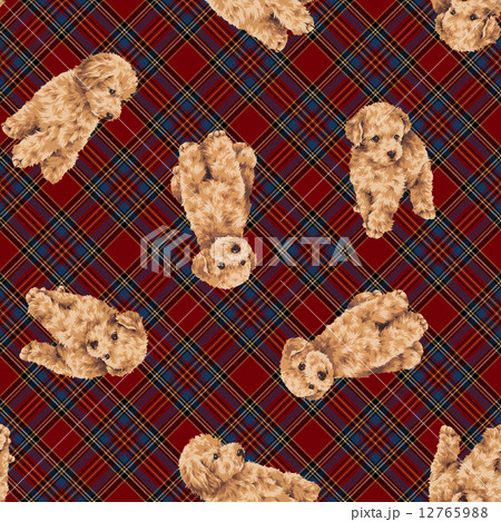 可愛い犬の柄 12765988