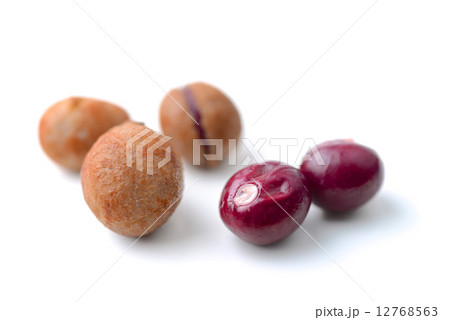Bambarra Groundnut 12768563