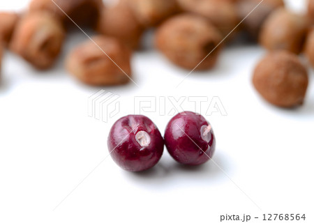 Bambarra Groundnut 12768564