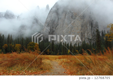 秋雨の降るヨセミテ国立公園 秋雨の降るヨセミテ国立公園 12768705