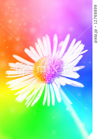 Single daisy flower on green bokeh background with sunshine. 12768899