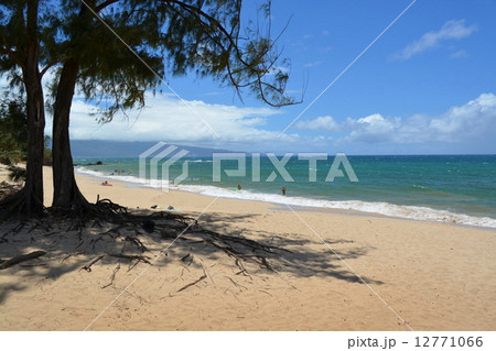 ローワー パイア パーク ローワー パイア パーク 12771066