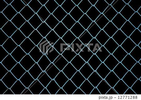 Wire Mesh 12771288