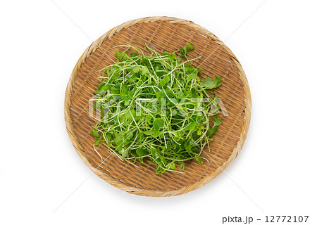 つまみな つまみな 12772107