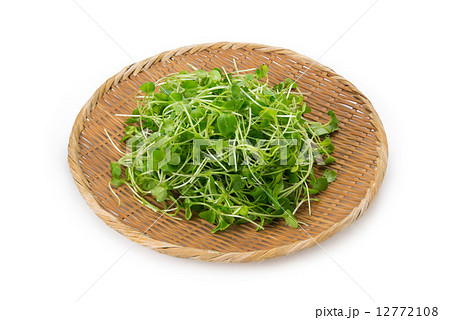 つまみな つまみな 12772108