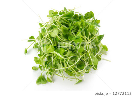 つまみな つまみな 12772112