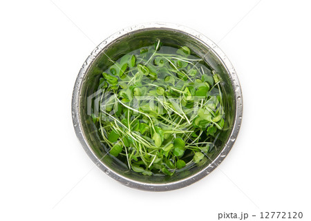 つまみな つまみな 12772120