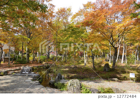 分水嶺公園紅葉 分水嶺公園紅葉 12772484