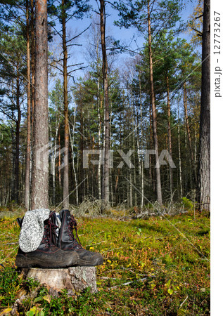 Boots and socks drying in the sun Boots and socks drying in the sun 12773267
