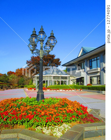 公園の入口 公園の入口 12774091