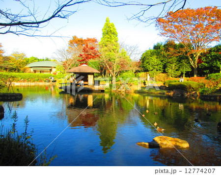 日本庭園 12774207