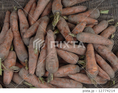 泥のついたニンジン どっさり（シェムリアップ／カンボジア） 12774214