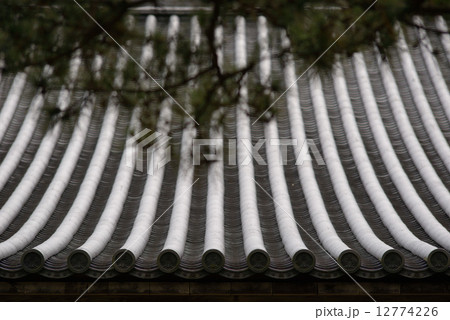 和風景 12774226