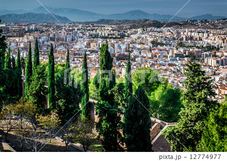 Malaga cityscape, view from the Gibralfaro fortress 12774977
