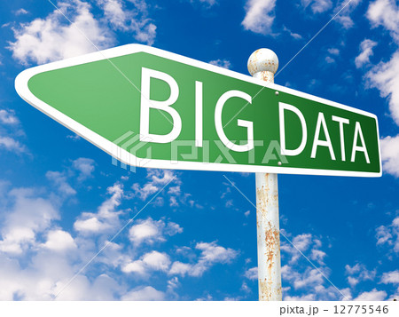Big Data 12775546