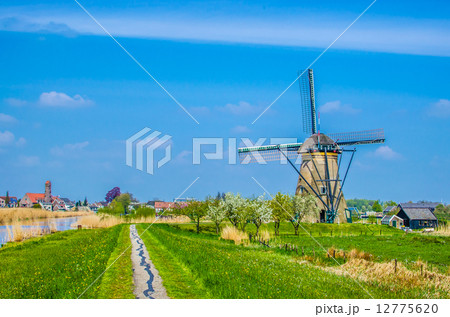 オランダの風車 12775620