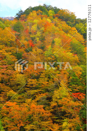 紅葉する山々 12776311