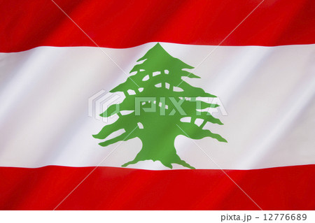 Flag of Lebanon 12776689