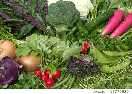 野菜盛合せ 野菜盛合せ 12776986