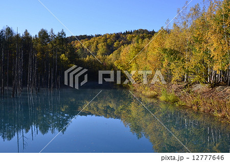 紅葉の青い池 紅葉の青い池 12777646