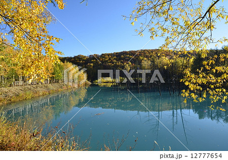 紅葉の青い池 12777654