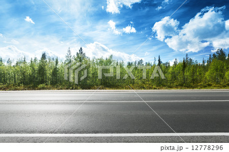 asphalt road and forest asphalt road and forest 12778296