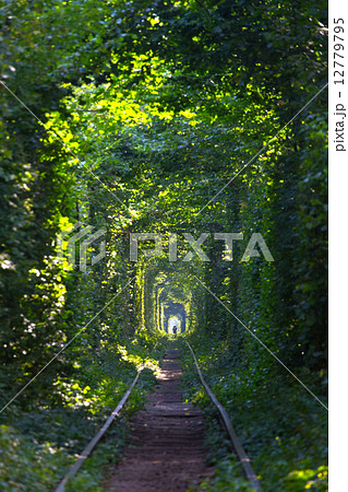 tunnel of Love tunnel of Love 12779795