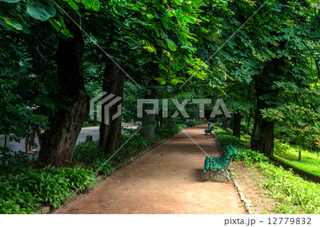 bench bench 12779832