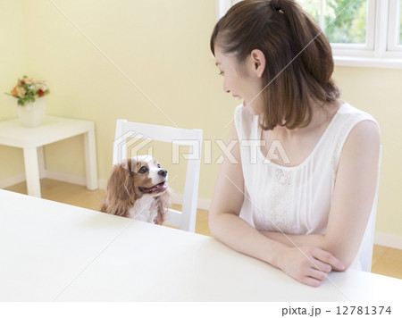 テーブルに向かう女性と犬 テーブルに向かう女性と犬 12781374