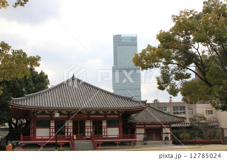 四天王寺 四天王寺 12785024