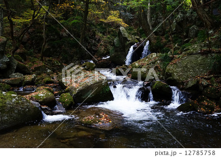 滝川渓谷 滝川渓谷 12785758