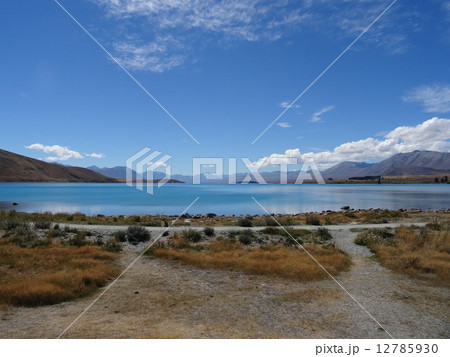 ニュージーランド紀行・テカポ湖 12785930