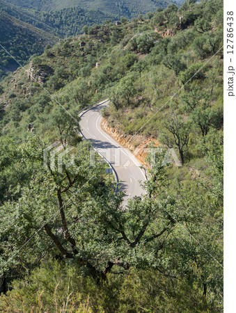 Top view of mountain road with curves 12786438