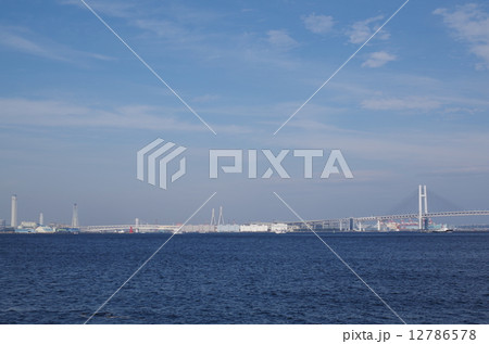 海 海 12786578