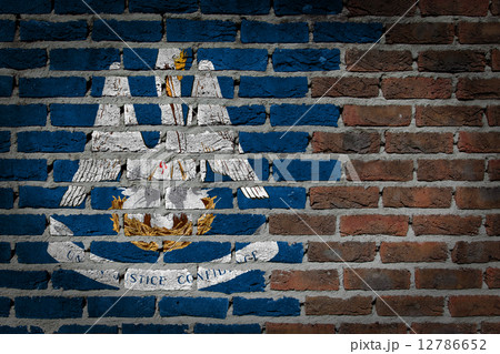 Brick wall texture with flag 12786652