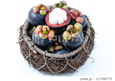 Mangosteen and cross section showing the thick purple skin Mangosteen and cross section showing the thick purple skin 12786775