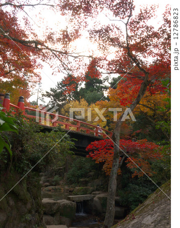 宮島・紅葉 12786823