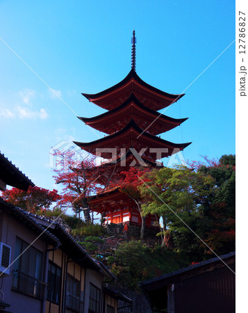 宮島・紅葉 12786827