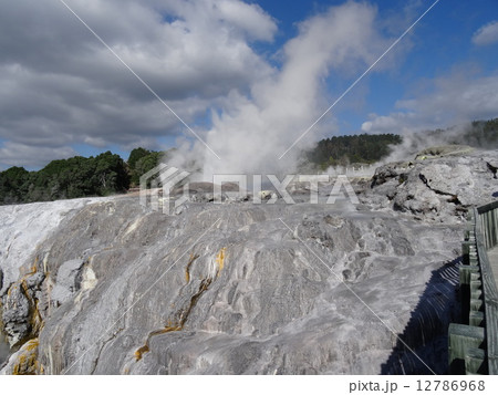 ニュージーランド紀行 12786968