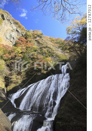 袋田の滝 12787012