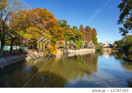 東京都目黒区、碑文谷公園 東京都目黒区、碑文谷公園 12787163