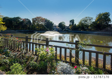 東京都目黒区の碑文谷公園 東京都目黒区の碑文谷公園 12787170