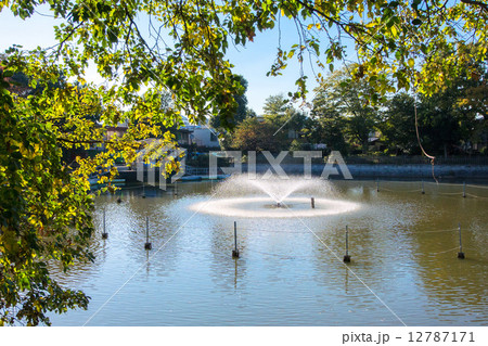 東京都目黒区都立大学の碑文谷公園 12787171