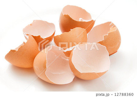 卵の殻 12788360